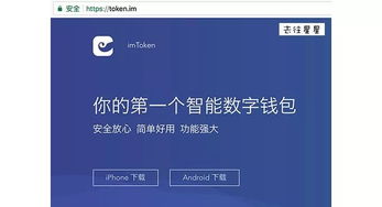token使用